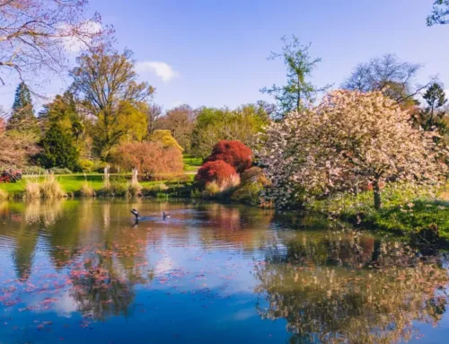 Wembley Airport Transfers: Discovering Attractions Near Gatwick Airport